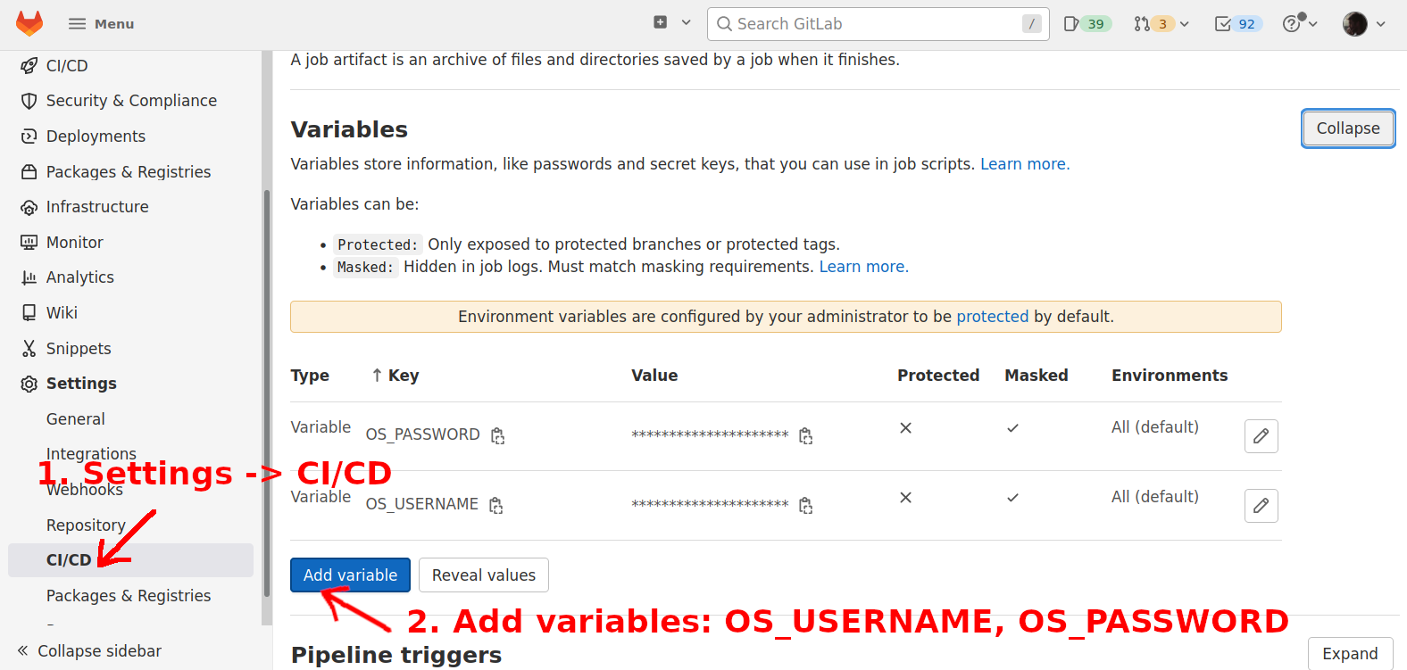 Environment variables for end-to-end browser tests